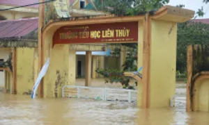 12 trường chưa thể đón học sinh trở lại sau bão Trà Mi