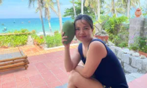 Bán bốn ngôi nhà Hà Nội để chạy trốn ô nhiễm không khí