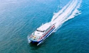 Giá vé tàu cao tốc TP HCM - Côn Đảo cao nhất gần 1,4 triệu đồng Giá vé tàu cao tốc TP HCM - Côn Đảo cao nhất gần 1,4 triệu đồng