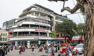 'Hàm cá mập' là biệt danh của tòa nhà nào? 'Hàm cá mập' là biệt danh của tòa nhà nào?