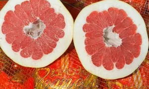 Ăn bưởi giải rượu được không? Ăn bưởi giải rượu được không?