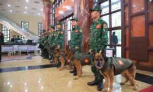 Quân đội Việt Nam sẽ cử lực lượng cứu trợ động đất tại Myanmar Quân đội Việt Nam sẽ cử lực lượng cứu trợ động đất tại Myanmar