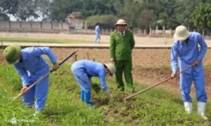 Đề xuất phạt tới 5 năm tù với người tái nghiện ma túy