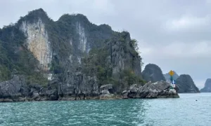 Miễn phí tour tham quan vịnh Bái Tử Long Miễn phí tour tham quan vịnh Bái Tử Long