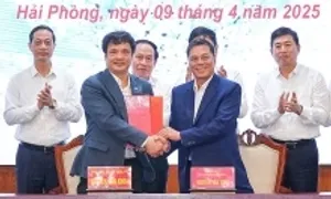 Hải Phòng phát triển hạ tầng số, thúc đẩy chuyển đổi số Hải Phòng phát triển hạ tầng số, thúc đẩy chuyển đổi số