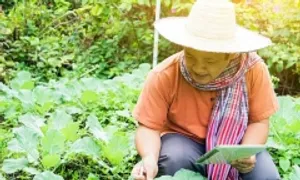 Làm vườn có giúp giảm đau zona thần kinh? Làm vườn có giúp giảm đau zona thần kinh?