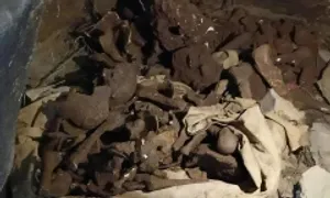 18 bộ xương trong hang đá ở Nghệ An nghi là di cốt người xưa 18 bộ xương trong hang đá ở Nghệ An nghi là di cốt người xưa