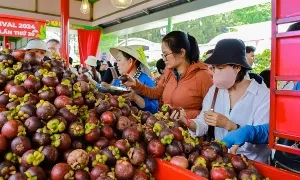 Chuỗi hoạt động tại lễ hội trái cây Nam Bộ 2025 Chuỗi hoạt động tại lễ hội trái cây Nam Bộ 2025