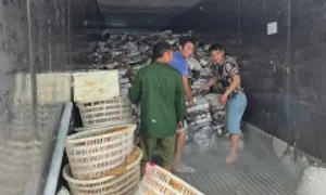 Quảng Ninh thu giữ hơn 25 tấn mực, chân gà bốc mùi tại kho lạnh Quảng Ninh thu giữ hơn 25 tấn mực, chân gà bốc mùi tại kho lạnh