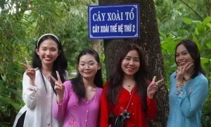 Cây 'xoài tổ' ở Đồng Tháp cho một tấn trái mỗi năm Cây 'xoài tổ' ở Đồng Tháp cho một tấn trái mỗi năm