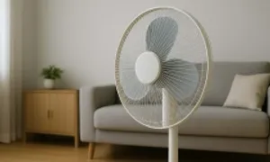 Mùa hè dùng quạt thế nào tốt cho sức khỏe? Mùa hè dùng quạt thế nào tốt cho sức khỏe?