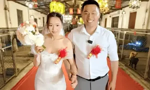 Làm đám cưới giữa trại chó