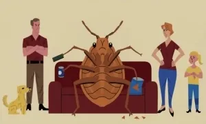 Lý do rệp giường hút máu khó tiêu diệt Lý do rệp giường hút máu khó tiêu diệt
