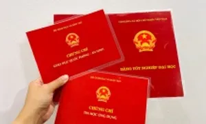 Bộ Giáo dục dự kiến cấp văn bằng, chứng chỉ số trong 5 ngày Bộ Giáo dục dự kiến cấp văn bằng, chứng chỉ số trong 5 ngày
