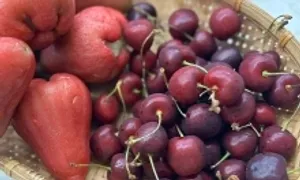 6 món nên ăn khi ho, nghẹt mũi do cảm cúm 6 món nên ăn khi ho, nghẹt mũi do cảm cúm