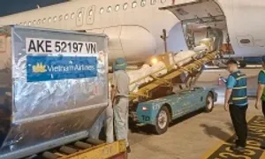 Vietnam Airlines vận chuyển miễn phí hàng cứu trợ miền Trung