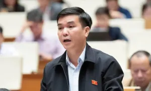 Đại biểu Quốc hội: Cần cấm tuyệt đối ép mua bảo hiểm khi vay ngân hàng